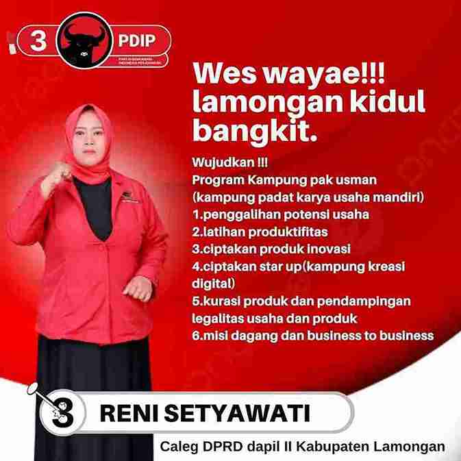 Reni Setiawati Caleg PDI Perjuangan