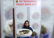 Diduga Terlibat Kasus Narkotika, Nenek 57 Tahun di Bener Meriah Ditangkap Polisi