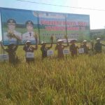 Lamongan