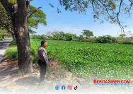Polsek Deket Patroli Sungai dan Koordinasi dengan Pemerintah Desa Antisipasi Sumbatan Eceng Gondok