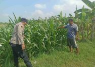 Dukung Ketahanan Pangan, Polsek Lamongan Kota Monitoring Program Asta Cita Presiden RI di Desa Made