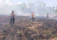 Kapolsek Kembangbahu Lamongan Beserta Anggota Bantu Padamkan Kebakaran Lahan Tebu di Desa Puter