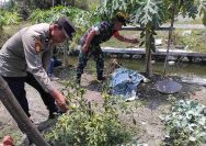 Polsek Pucuk Dukung Program Asta Cita Presiden RI dengan Monitoring Ketahanan Pangan di Desa Warukulon
