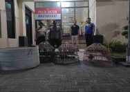 Polsek Pucuk Lamongan Gerebek Lokasi Sabung Ayam di Desa Padenganploso, Amankan Sejumlah Barang Bukti