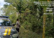 Antisipasi Pohon Tumbang dan Kebakaran Hutan, Polsek Solokuro Lamongan Gencarkan Patroli Harkamtibmas