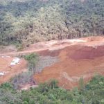 Warga Morowali Geram, Tanaman Produktif Nyaris Lenyap Akibat Aktivitas PT Vale Morowali