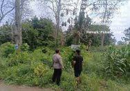 Polsek Solokuro Intensifkan Patroli Hutan Cegah Karhutla dan Pencurian Kayu di Musim Kemarau