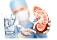 Minum Air Murni Bantu Jaga Kesehatan Ginjal, Ini Penjelasan Dokter