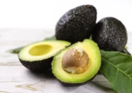 5 Manfaat Alpukat untuk Kesehatan, dari Jantung Sehat hingga Cegah Diabetes