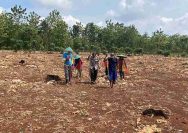 Polsek Solokuro Polres Lamongan Dukung Ketahanan Pangan Lewat Program Tanam Jagung Serentak di Desa Tebluru