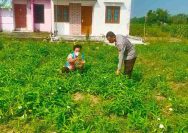 Polsek Sarirejo Dukung Program Pekarangan Pangan Bergizi (P2B) di Desa Dermolemahbang