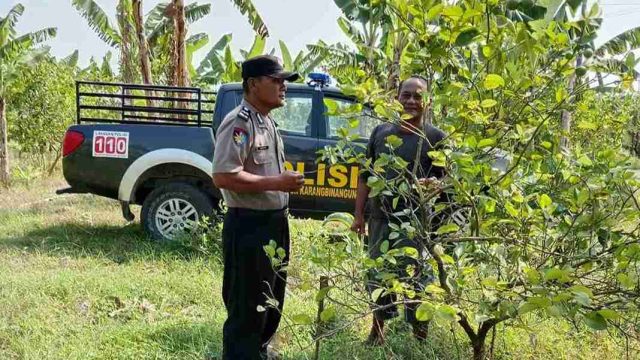 Polsek Karangbinangun Monitoring Pekarangan Pangan Bergizi di Sambopinggir, Dukung Program Asta Cita Presiden RI