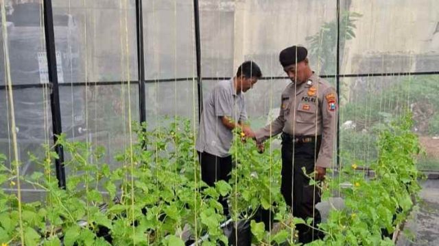 Dukung Program Asta Cita Presiden RI, Polsek Lamongan Kota Intensifkan Monitoring Pekarangan Pangan Bergizi