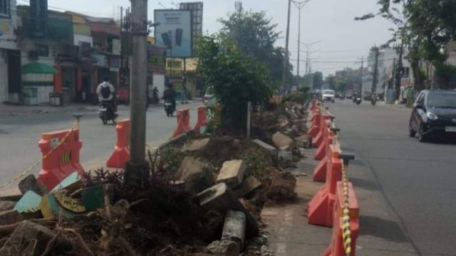 Ribuan Pohon Ditebang untuk Proyek BRT Mebidang, DPP GEMAK Desak Transparansi dan Akuntabilitas Lingkungan