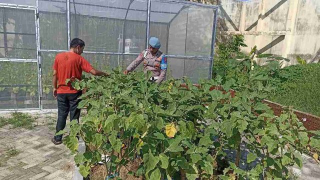 Dukung Program Asta Cita Presiden RI, Polsek Lamongan Kota Sukses Gelar Monitoring Pekarangan Pangan Bergizi