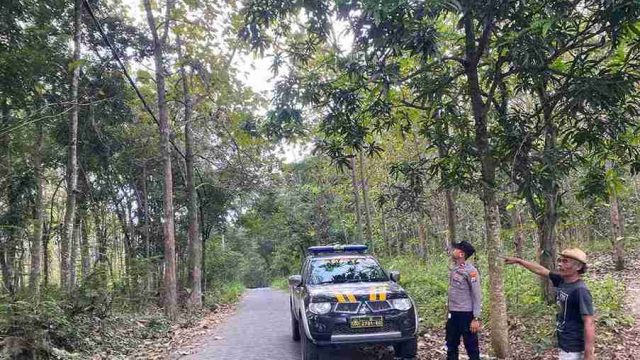 Masuki Musim Kemarau, Polsek Solokuro Intensifkan Patroli Kawasan Hutan Demi Cegah Karhutla dan Pohon Tumbang