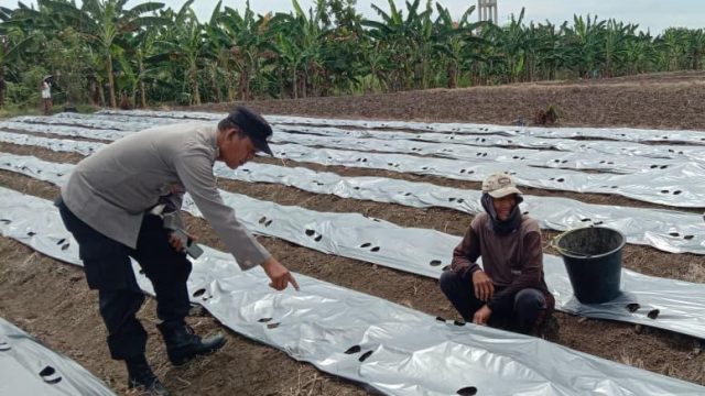 Dukung Asta Cita Presiden, Polsek Karangbinangun Intensifkan Patroli Monitoring Pekarangan Pangan Bergizi