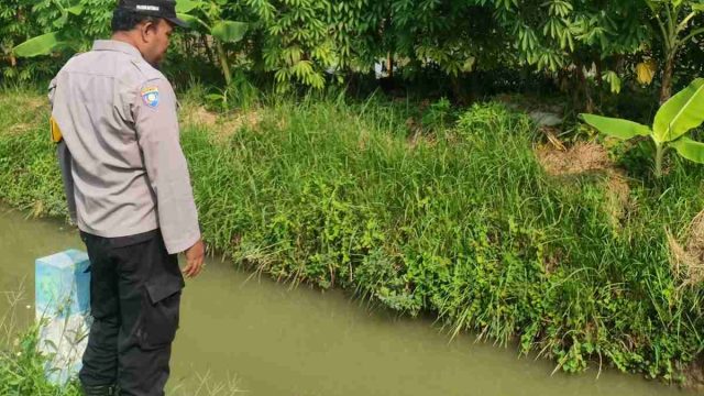 Polsek Karangbinangun Dukung Ketahanan Pangan Melalui Monitoring Program P2B 