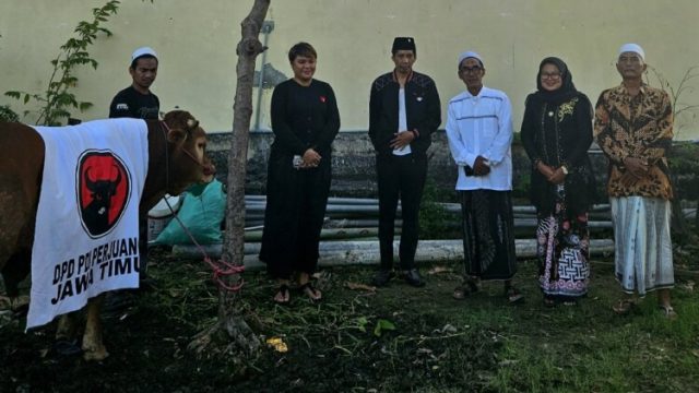 PDI Perjuangan Jatim Salurkan 468 Sapi Kurban di Idul Adha 1447 H, Lamongan Terima Lima Ekor untuk Warga dan Lembaga Sosial