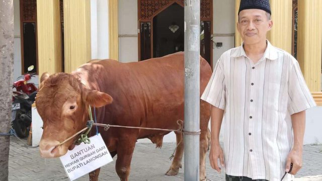 Sambut Idul Adha, DPD LDII Lamongan Terima Bantuan Sapi Kurban dari Bupati Lamongan
