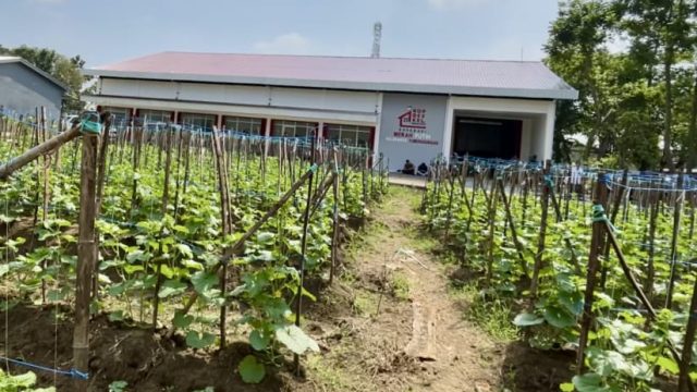 Mengubah Kesan Mistis Menjadi Manis: KDKMP Tumenggungan Lamongan Hadir Hidupkan Ekonomi Warga