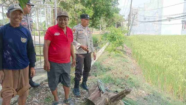 Dukung Ketahanan Pangan Nasional, Polsek Pucuk Monitoring Pemanfaatan Pekarangan Pangan Bergizi di Desa Wanar