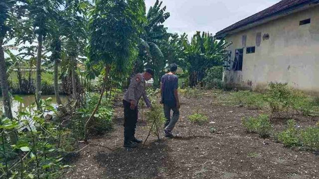 Dukung Ketahanan Pangan Nasional, Polsek Pucuk Monitoring Program P2B di Lahan Produktif Warga Desa Warukulon