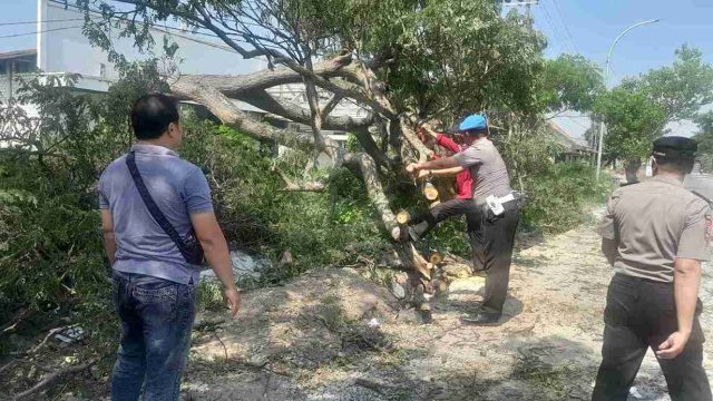 Polsek Deket Sigap Tangani Pohon Tumbang di Jalur Deket–Lamongan, Pastikan Lalu Lintas Kembali Normal