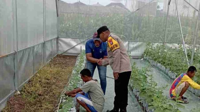Patroli Presisi Polsek Karangbinangun Monitoring Pekarangan Pangan Bergizi di Desa Sambopinggir, Dukung Program Asta Cita Presiden RI
