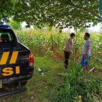 Personel Polsek Solokuro berdialog dengan petani jagung di Desa Banyubang terkait distribusi pupuk dan harga panen