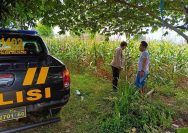 Personel Polsek Solokuro berdialog dengan petani jagung di Desa Banyubang terkait distribusi pupuk dan harga panen