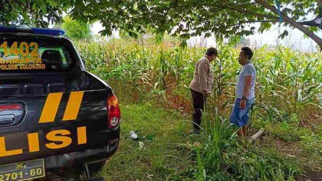 Personel Polsek Solokuro berdialog dengan petani jagung di Desa Banyubang terkait distribusi pupuk dan harga panen