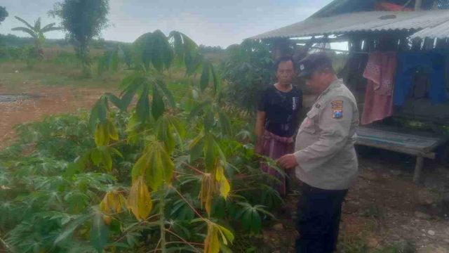 Wujudkan Indonesia Swasembada Pangan, Polsek Solokuro Dorong Optimalisasi Lahan Jagung di Desa Tenggulun