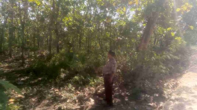 Cegah Karhutla dan Ilegal Logging, Polsek Solokuro Intensifkan Patroli di Kawasan Hutan