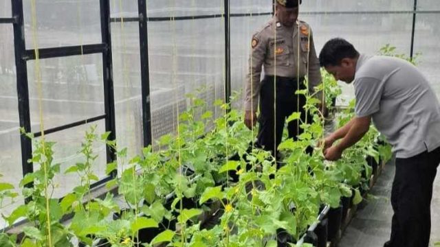 Dukung Program Asta Cita, Polsek Lamongan Kota Gelar Monitoring Ketahanan Pangan di Desa Tanjung