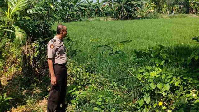 Dukung Ketahanan Pangan Nasional, Polsek Karangbinangun Monitoring Progres Pekarangan Pangan Bergizi (P2B) Program Asta Cita