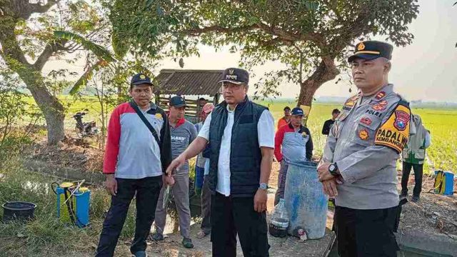 Cegah Gagal Panen, Polsek Kembangbahu Bersinergi dalam Gerakan Pengendalian Hama Wereng Serentak