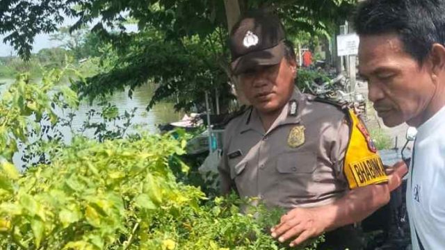 Dukung Program Asta Cita Presiden RI, Polsek Karangbinangun Monitoring Pekarangan Pangan Bergizi