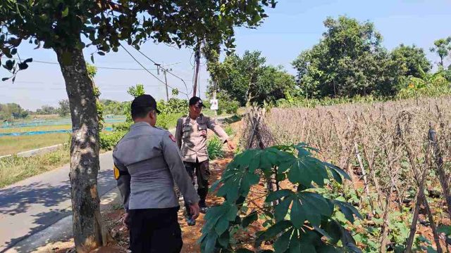 Dukung Ketahanan Pangan Nasional, Polsek Solokuro Dorong Budidaya Melon di Desa Takerharjo