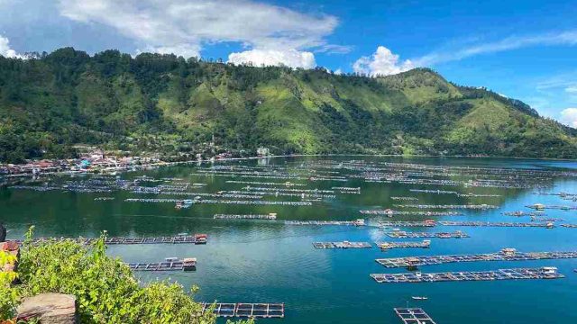 Deklarasi Nol KJA Tinggal Janji? Warga Haranggaol Pertanyakan Komitmen Kepala Daerah Selamatkan Danau Toba