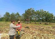 Lamongan