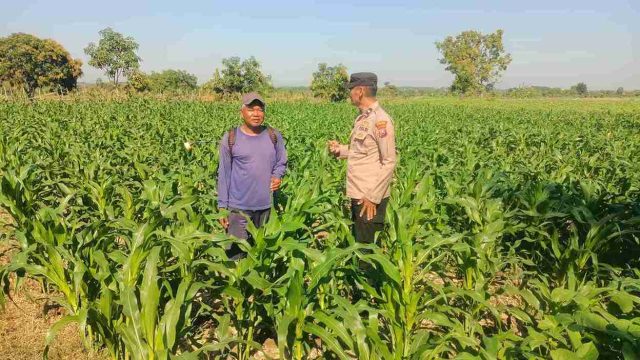 Dukung Swasembada Pangan Nasional, Polsek Sarirejo Gencarkan Monitoring Lahan Pertanian Warga
