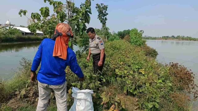 Dukung Swasembada Pangan Nasional, Polsek Sarirejo Cek Lahan Tanaman Warga di Desa Dermolemahbang