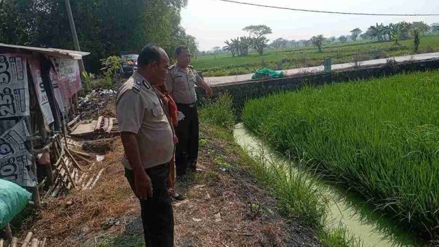 Dukung Ketahanan Pangan Nasional, Polsek Karangbinangun Lakukan Monitoring Program P2B di Desa Baranggayam