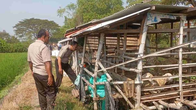 Dukung Ketahanan Pangan Nasional, Polsek Karangbinangun Monitor Program Pekarangan Pangan Bergizi di Desa Pendowolimo