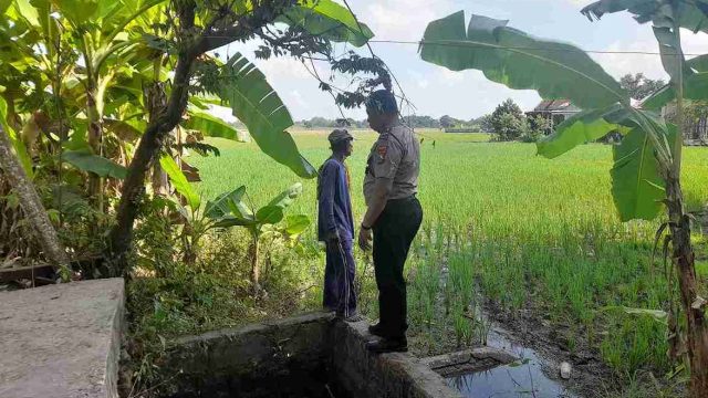 Dukung Ketahanan Pangan, Polsek Kembangbahu Monitoring Program Pekarangan Bergizi dan Pemanfaatan Lahan Pertanian