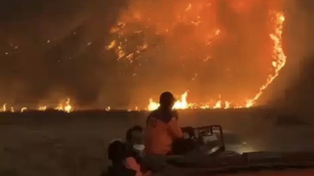 Kebakaran Gunung Bromo Meluas ke Arah B29, Luas Lahan Terbakar Capai 176 Hektare