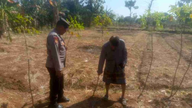 Polsek Solokuro Monitoring Musim Tanam Ubi di Tengah Kemarau, Dukung Ketahanan Pangan dan Program Pekarangan Bergizi