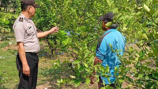 Dukung Program Asta Cita, Polsek Karangbinangun Monitoring Pekarangan Pangan Bergizi di Desa Windu