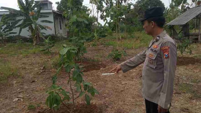 Dukung Ketahanan Pangan Nasional, Polsek Solokuro Monitoring Tanaman Pertanian